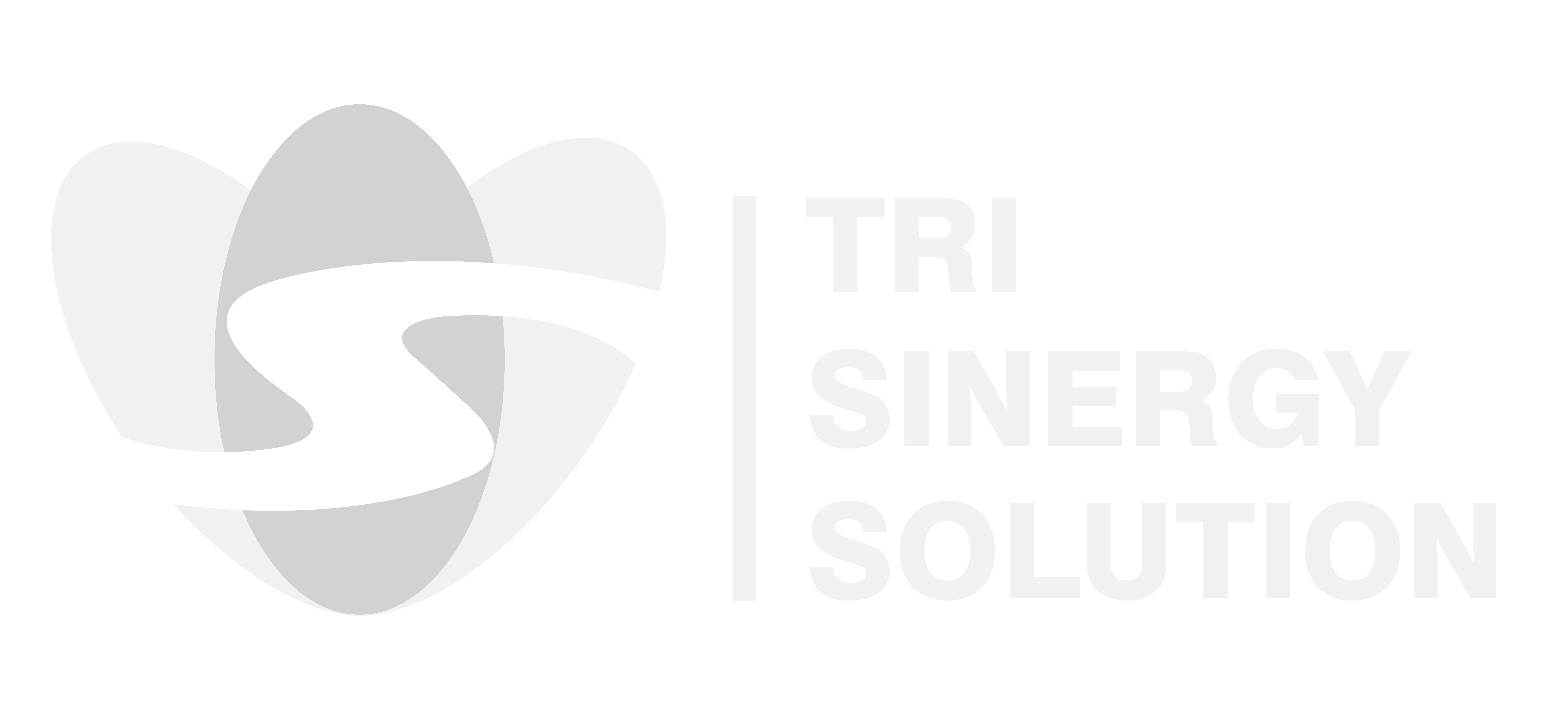 Tri Sinergy Solution